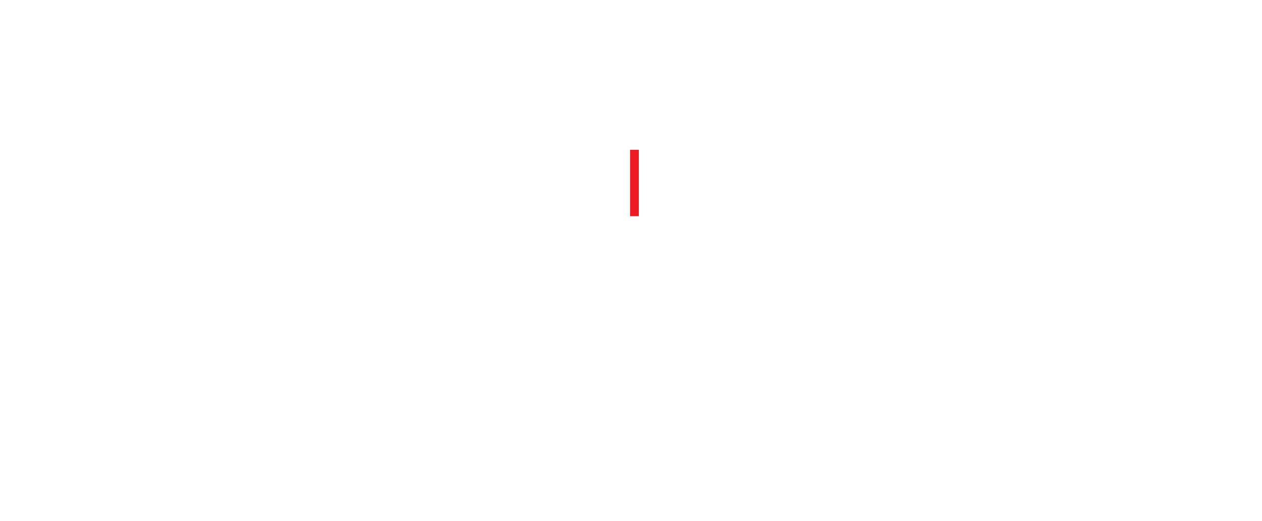 logo website 02